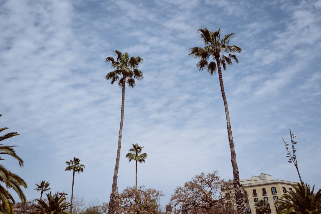 travelphotography barcelona