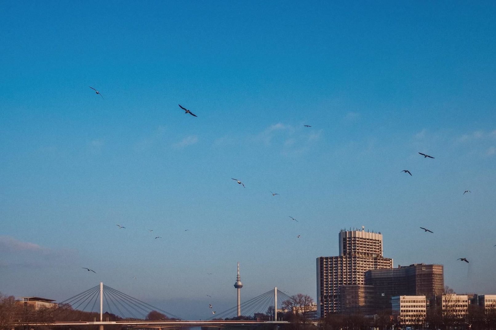 mannheim fotos