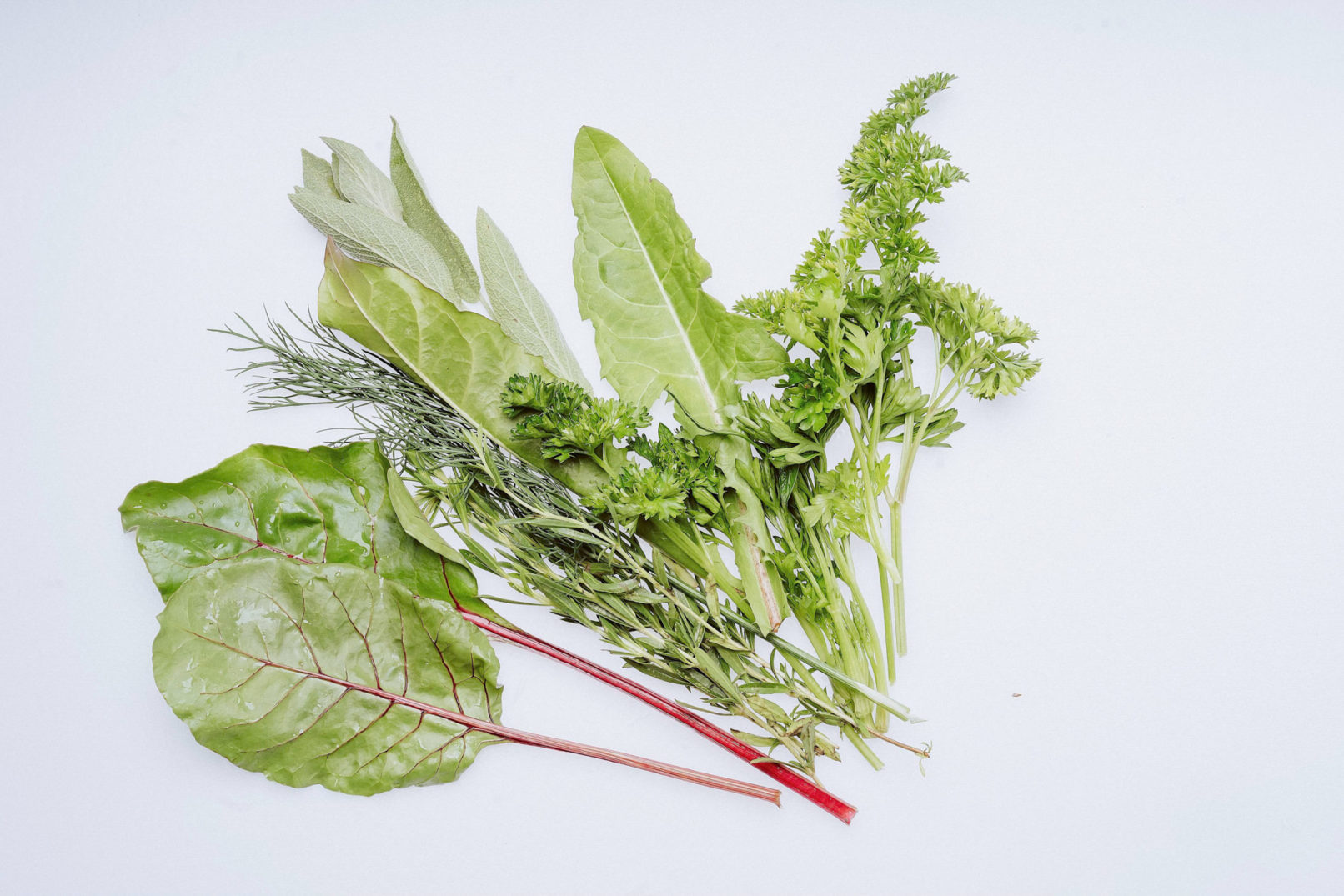 salatfotos website